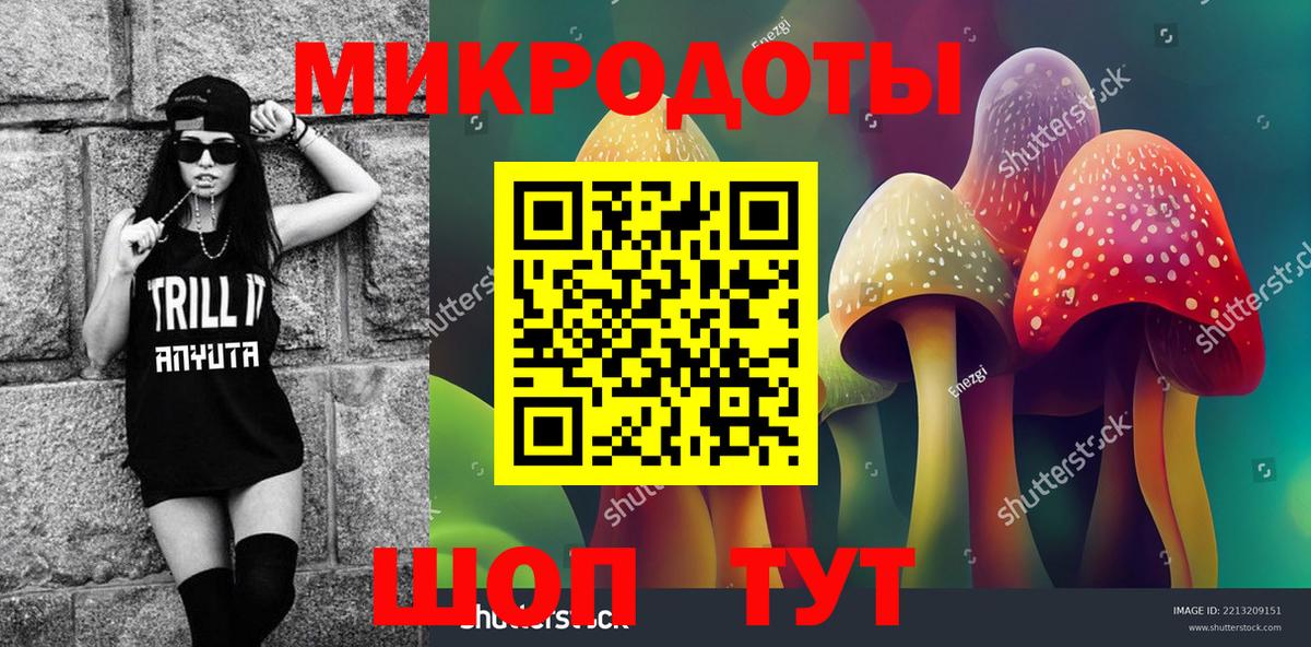 Галлюциногенные грибы Psilocybine cubensis Похвистнево