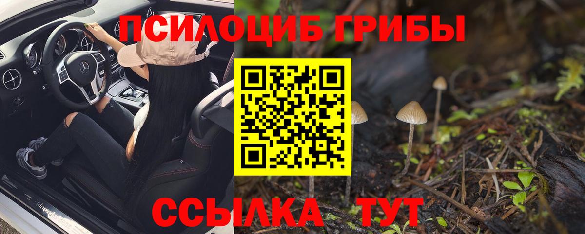 Похвистнево  Псилоцибиновые грибы Psilocybe  Галлюциногенные грибы ЛСД  Вход с VPN 